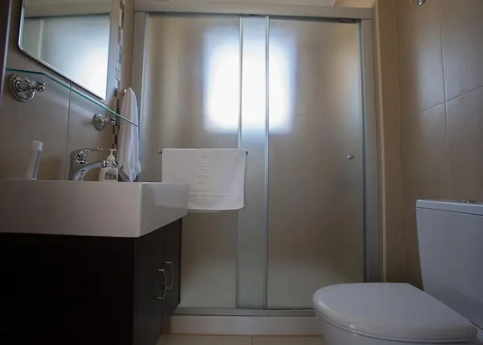 Palm 17 * 프로타라스