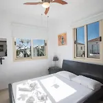 Palm 17